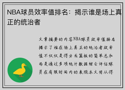 NBA球员效率值排名：揭示谁是场上真正的统治者
